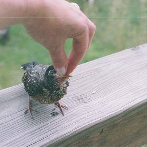 Meet your Posher, Marcia